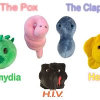 stuffed toy std giant microbes