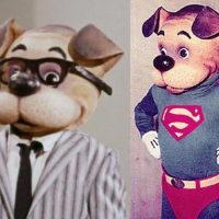 The Adventures of Superpup