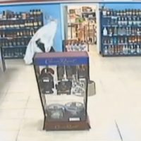 Spirits Absolute Proof