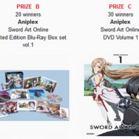 Sword Art Online Contest