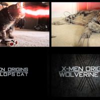 X-Men mutate into X-Animals: Wolverine cat and Cyclops cat