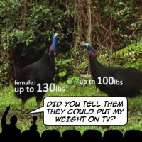 Mystery Science Theater host National Geographic channel for April Fool's