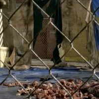 The Walking Dead Terminus trap set by cannibals known as Hunters