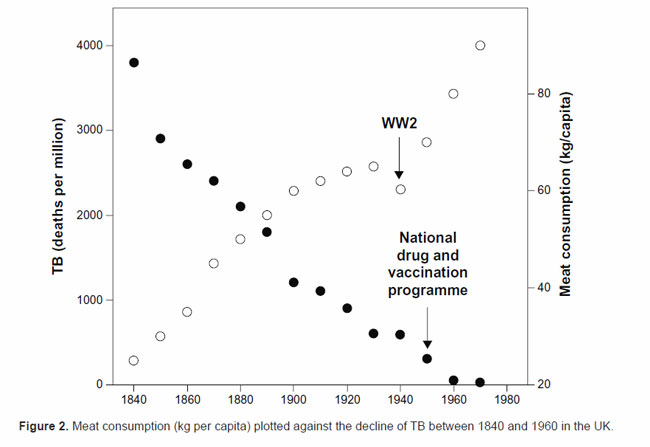 TB tuberculosis to meat consumption correlation