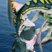 Sharktopus Vs. Pteracuda trailer