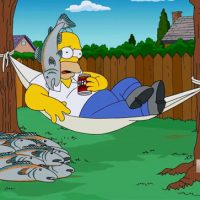 John Oliver fires salmon cannon at Jon Stewart Jimmy Fallon and Homer Simpson